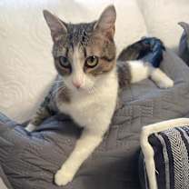 Thumbnail photo of Miss May W. #1