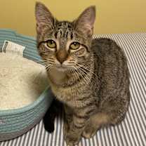 Thumbnail photo of Orianna #1