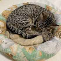 Thumbnail photo of Orianna #2