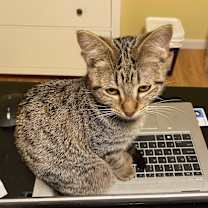 Thumbnail photo of Orianna #4