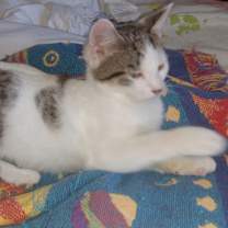 Thumbnail photo of FLIP #2