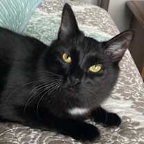 Thumbnail photo of Douggie #1