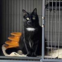 Thumbnail photo of Douggie #2