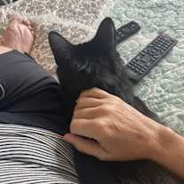 Thumbnail photo of Douggie #3