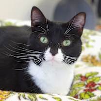 Thumbnail photo of Missy #3