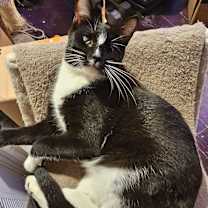 Thumbnail photo of Kira Lynn #2