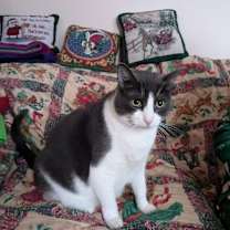 Thumbnail photo of Fiona #2