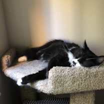 Thumbnail photo of Millie #2