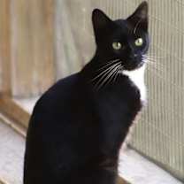 Thumbnail photo of Georgia #3