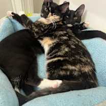 Thumbnail photo of Leni and Catya #1