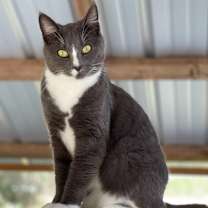 Thumbnail photo of Joy #1