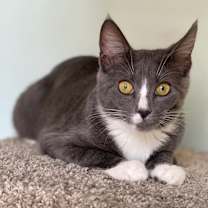 Thumbnail photo of Joy #2