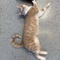 Thumbnail photo of Fish #2