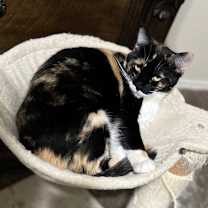 Thumbnail photo of Peaches #1