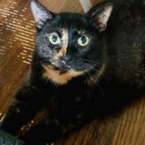 Thumbnail photo of ESTELLE #2