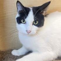 Thumbnail photo of Alan #1