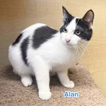 Thumbnail photo of Alan #2