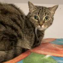 Thumbnail photo of Lena #1
