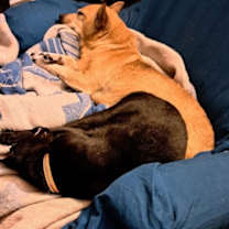 Thumbnail photo of Jade #2