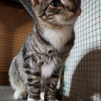 Thumbnail photo of Quinn #1