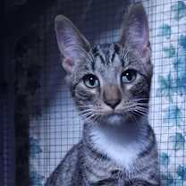 Thumbnail photo of Quinn #3