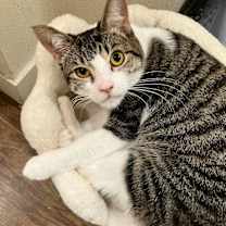 Thumbnail photo of Kairi #3