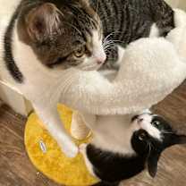 Thumbnail photo of Kairi #4