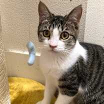 Thumbnail photo of Kairi #1