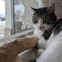 Thumbnail photo of Jerry #3