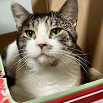Thumbnail photo of Jerry #4