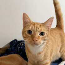 Thumbnail photo of Marco #3