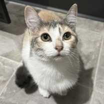 Thumbnail photo of Vanessa #1