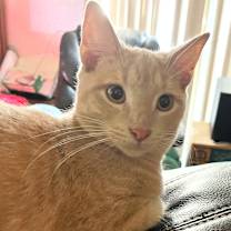 Thumbnail photo of Dudley #2