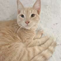 Thumbnail photo of Dudley #3