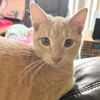 Thumbnail photo of Dudley #4