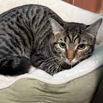 Thumbnail photo of T.J. #1