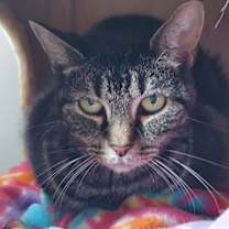 Thumbnail photo of Carla #4