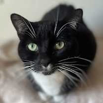 Thumbnail photo of Lola #4