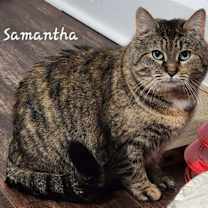 Thumbnail photo of Samantha #2