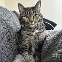 Thumbnail photo of Freya #1