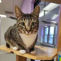 Thumbnail photo of Arthur Read #3