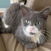 Thumbnail photo of Susan #1