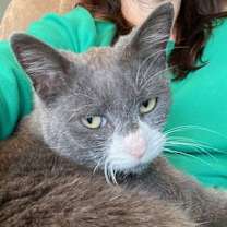 Thumbnail photo of Susan #2