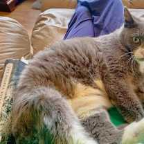 Thumbnail photo of Susan #3