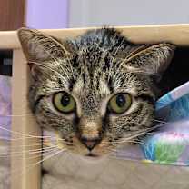 Thumbnail photo of Phillipa #2