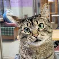 Thumbnail photo of Samira #3