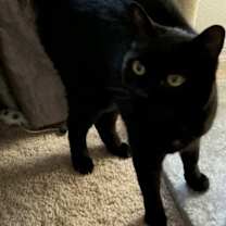 Thumbnail photo of Max #4