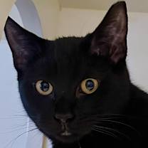 Thumbnail photo of Ivan #2