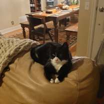 Thumbnail photo of ADELINE - Offered by Owner #3