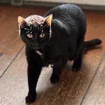 Thumbnail photo of Tyler #1